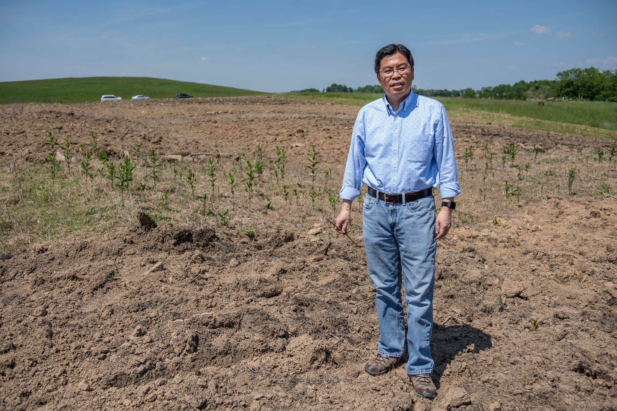 Jingxin Wang stands on a brown field where trees are being grown for a biomass research project.