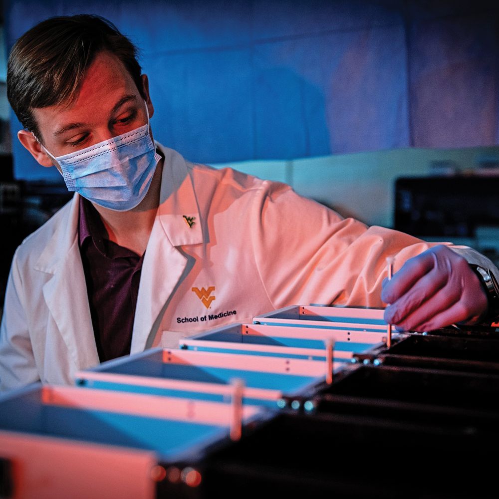 Researcher wearing mask and gloves.