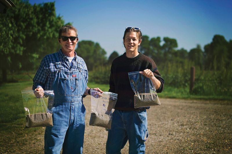  ALUMNI JIM LEACH AND J. MORGAN LEACH HOLD HEMP SEEDS FROM THE WEST VIRGINIA DEPARTMENT OF AGRICULTURE (COURTESY PHOTO).