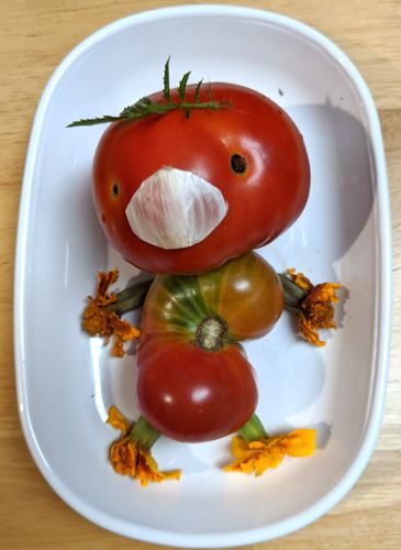 Tomatoes arranged to be the body and face of a person with marigold blossoms for limbs and a white garlic skin face mask.