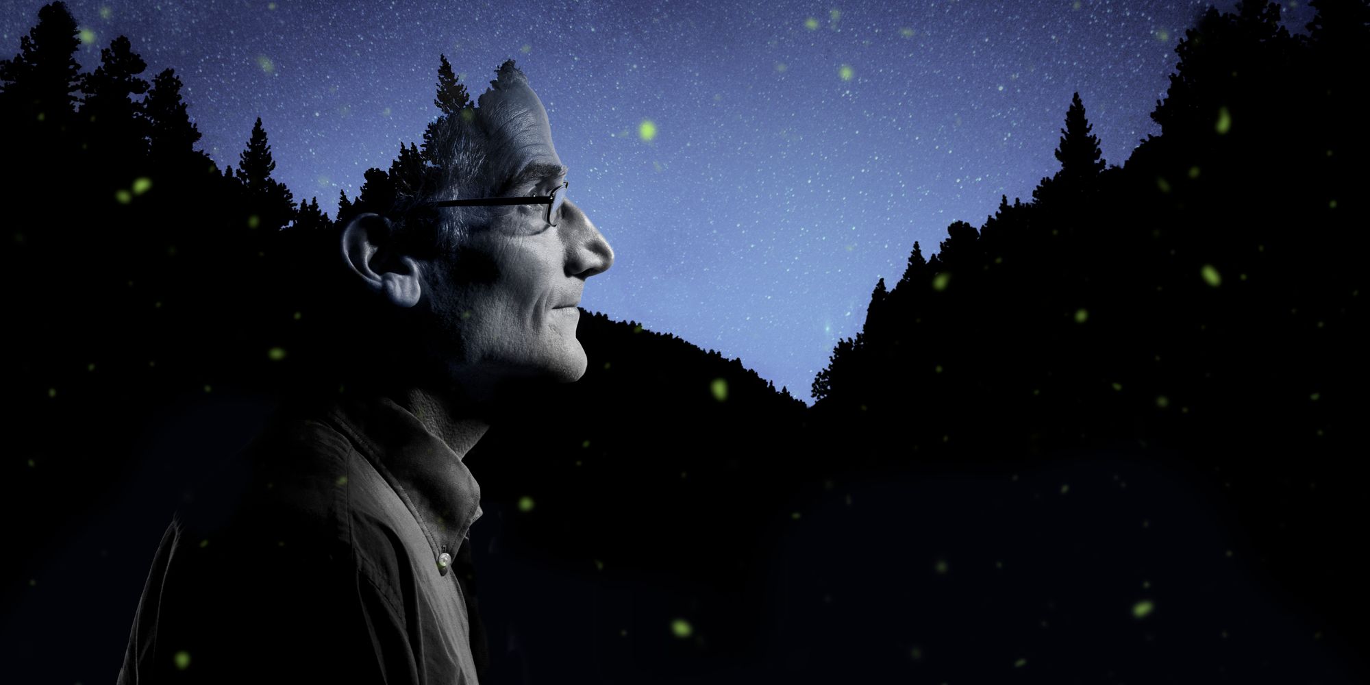 Duncan Lorimer superimposed over the night sky with fireflies in the background.